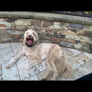 Meet your Posher, Brian